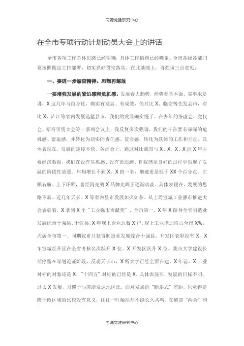 在全市专项行动计划动员大会上的讲话