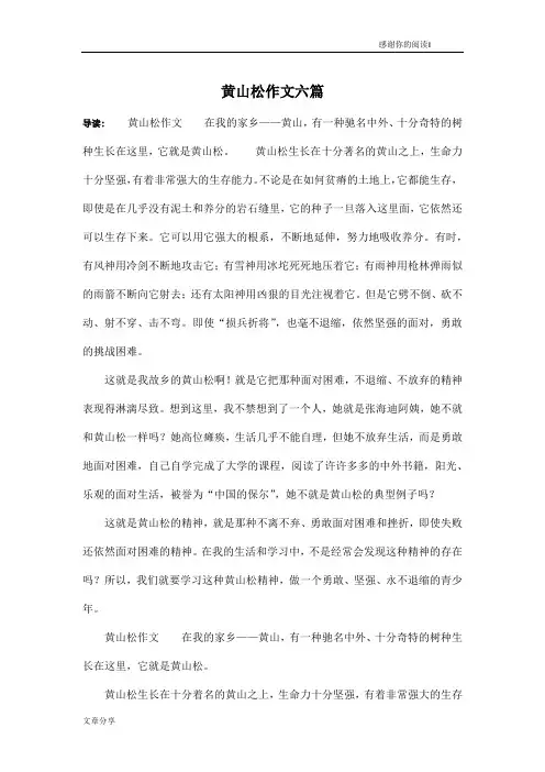 黄山松作文六篇