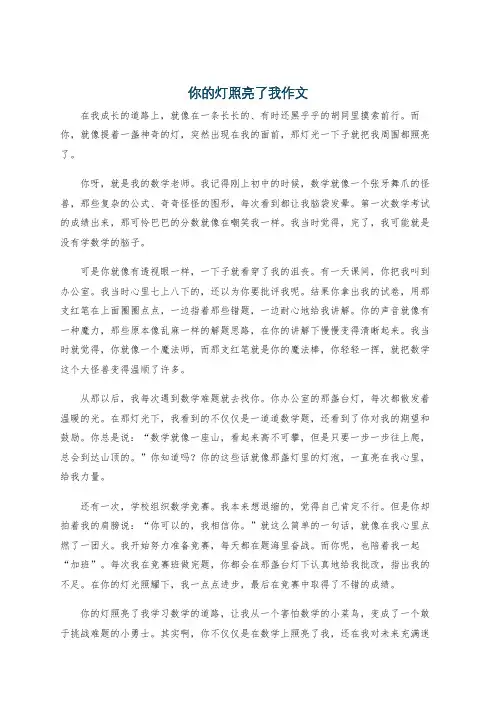 你的灯照亮了我作文