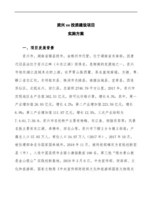 资兴项目实施方案(项目申请说明模板)