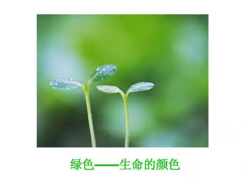 《囚绿记》