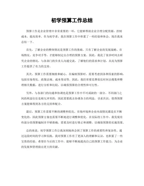 初学预算工作总结