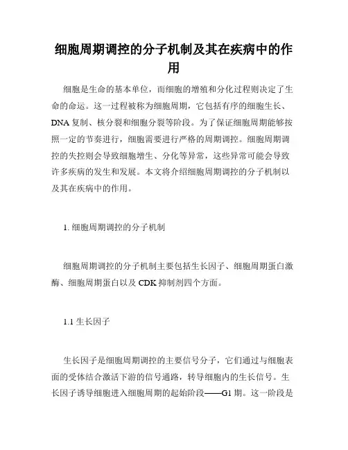 细胞周期调控的分子机制及其在疾病中的作用