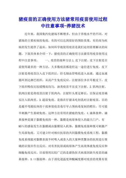 猪疫苗的正确使用方法 猪常用疫苗使用过程中注意事项 - 养猪技术