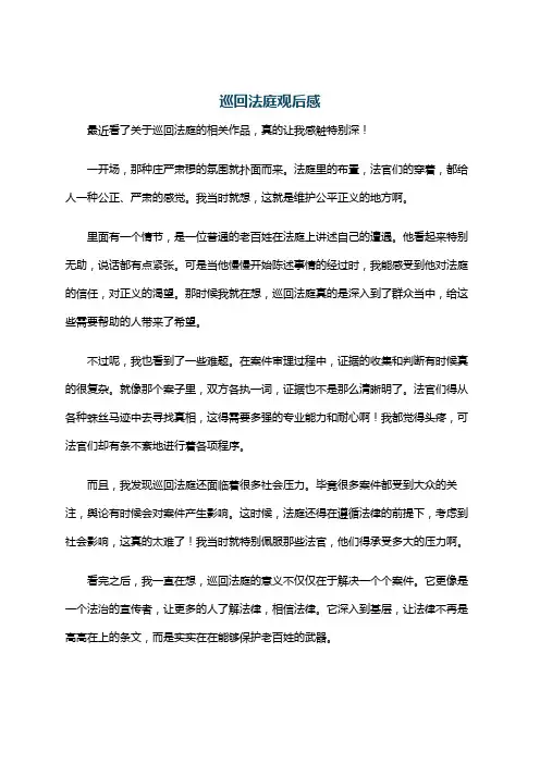巡回法庭观后感