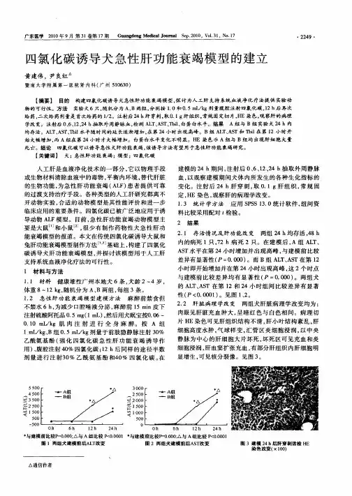 四氯化碳诱导犬急性肝功能衰竭模型的建立