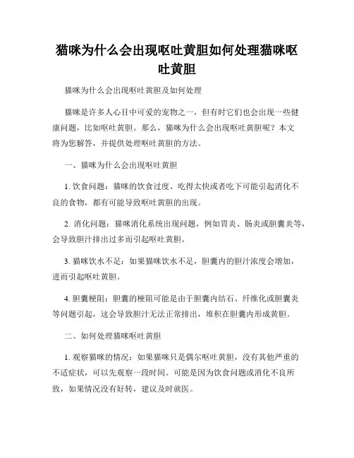 猫咪为什么会出现呕吐黄胆如何处理猫咪呕吐黄胆