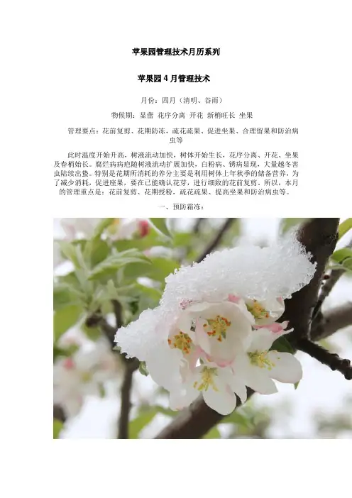 四月份苹果园4管理技术