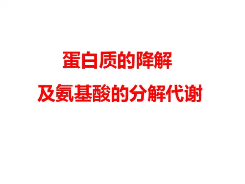 蛋白质的降解和氨基酸的分解代谢