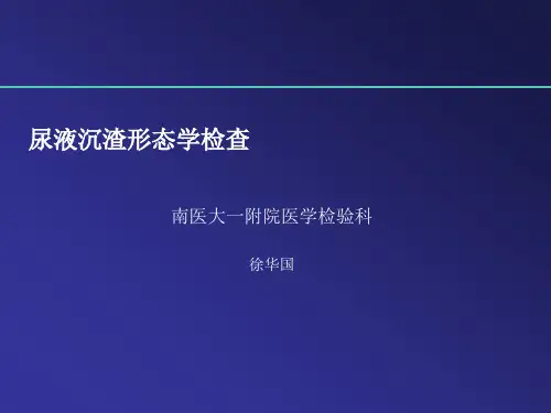 尿沉渣图谱