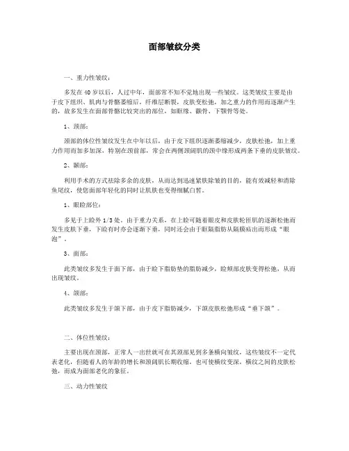 面部皱纹分类