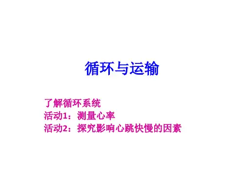 六年级下册科学课件2.7循环与运输冀教版