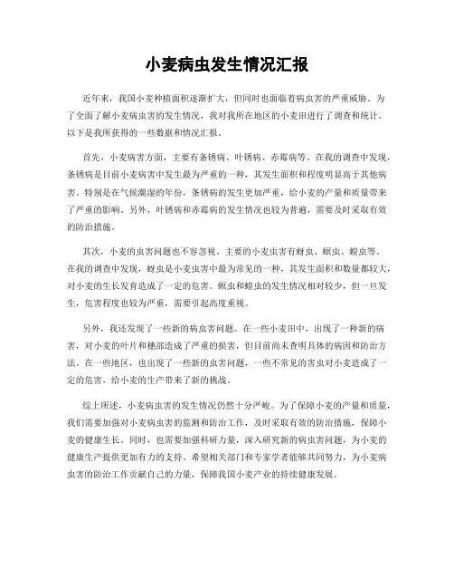 小麦病虫发生情况汇报