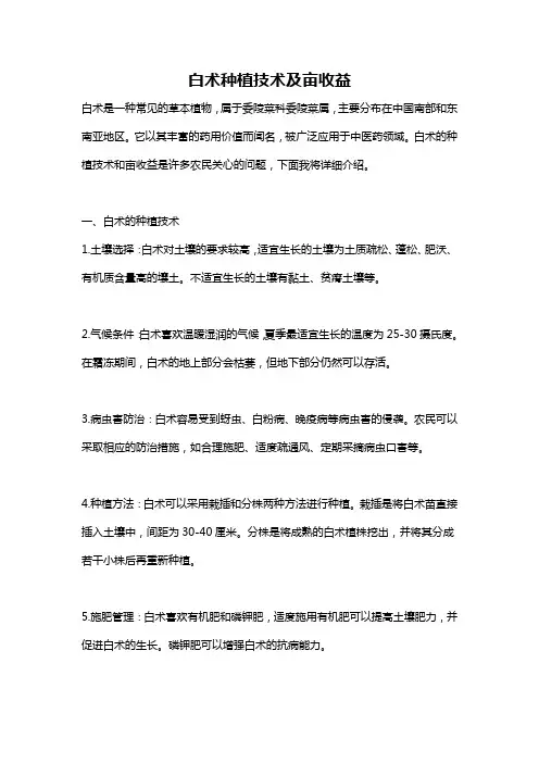 白术种植技术及亩收益