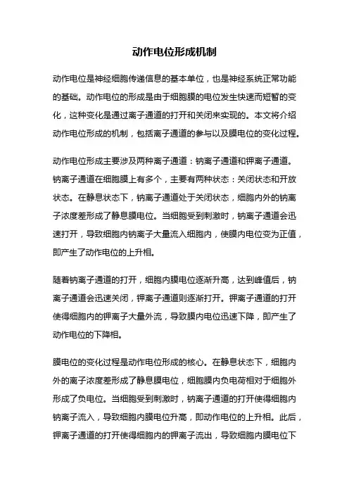 动作电位形成机制