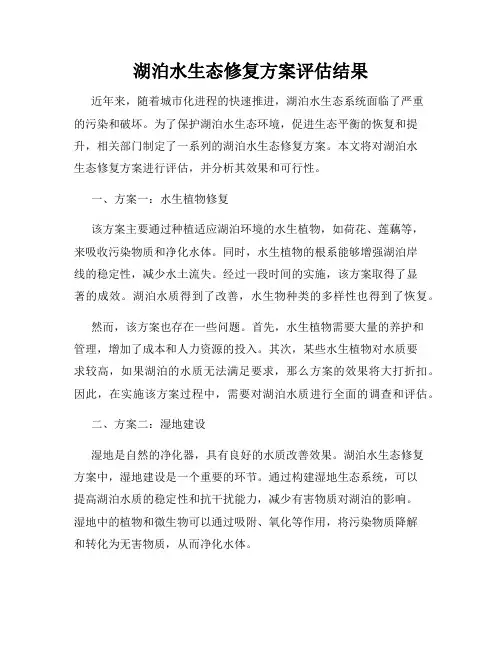 湖泊水生态修复方案评估结果