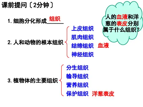 北师大版七年级上册4.2 生物体的器官、系统(共25张PPT)
