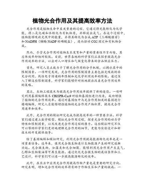 植物光合作用及其提高效率方法