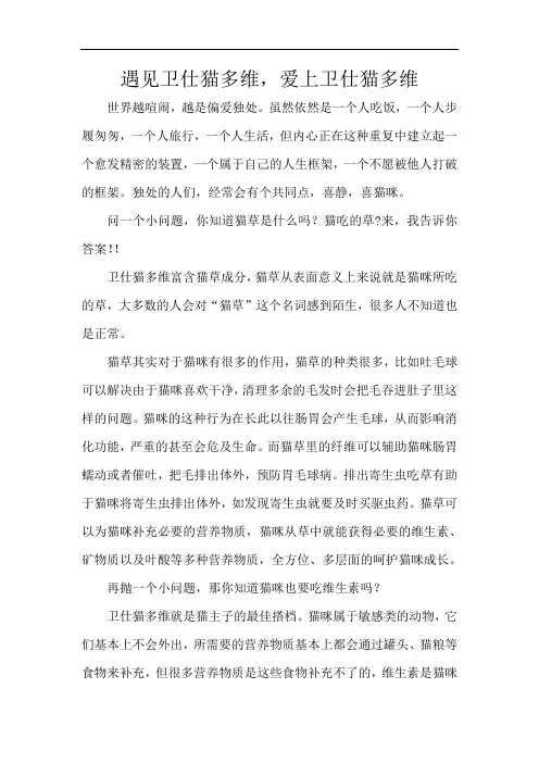 一组-李维-猫多维-遇见卫仕猫多维,爱上卫仕猫多维
