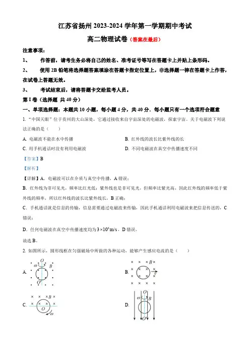 江苏省扬州2023-2024学年高二上学期11月期中物理试题含解析