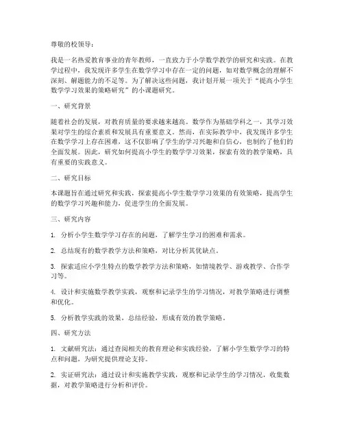 青年教师小课题申请书范文