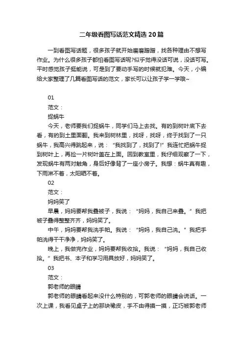 二年级看图写话范文精选20篇
