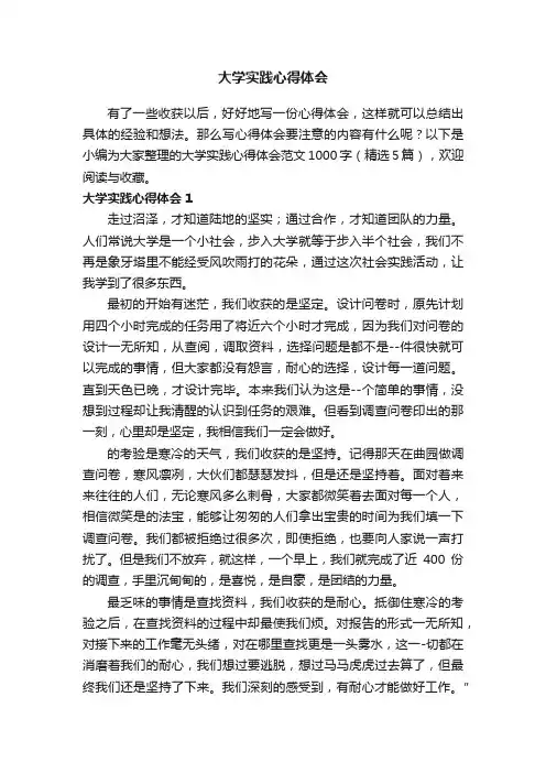 大学实践心得体会范文1000字（精选5篇）