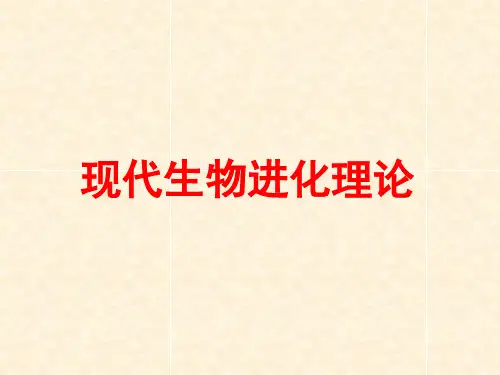 13生物的进化(汉水丑生一轮复习课件)