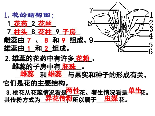 济南版生物八年级上册重点图复习