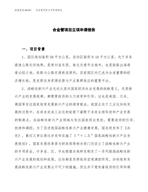 合金管项目立项申请报告模板