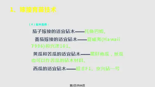 蔬菜栽培新技术.pptx