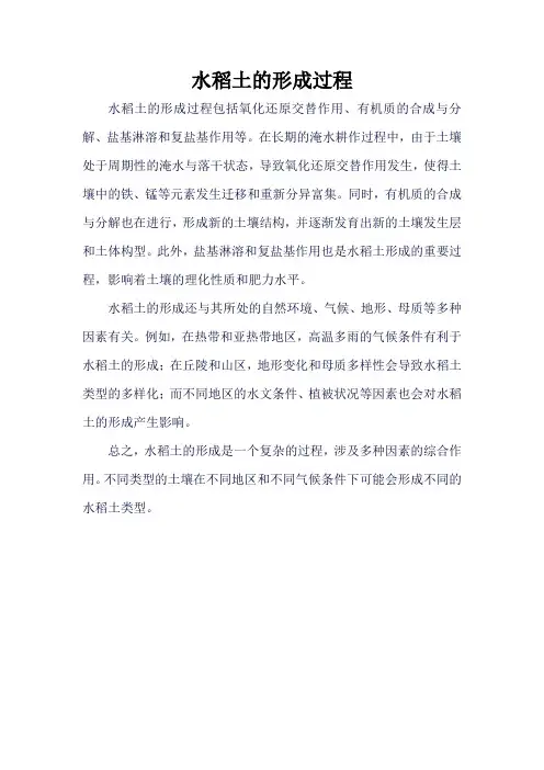 水稻土的形成过程