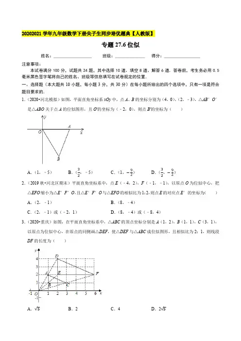 专题27.6位似-2020-2021学年九年级数学下册尖子生培优题典(原卷版)