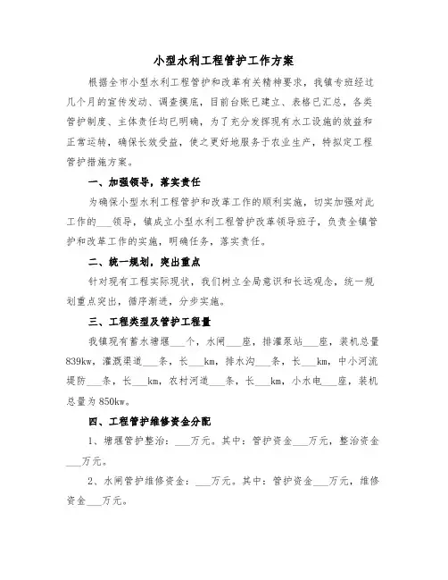 小型水利工程管护工作方案（二篇）