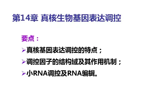 第14章 真核基因表达调控 南开大学遗传学课件