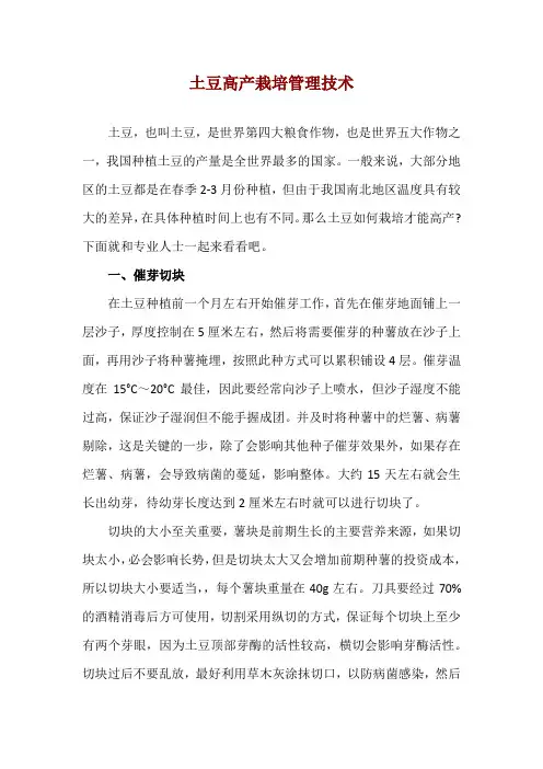 土豆高产栽培管理技术