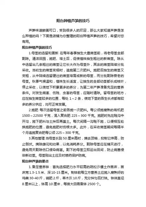 阳台种植芦笋的技巧