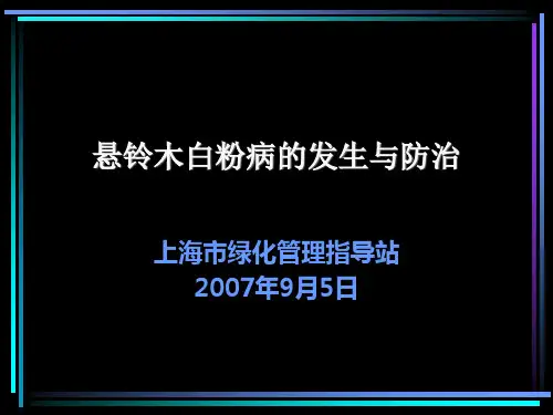 001白粉病幻灯片