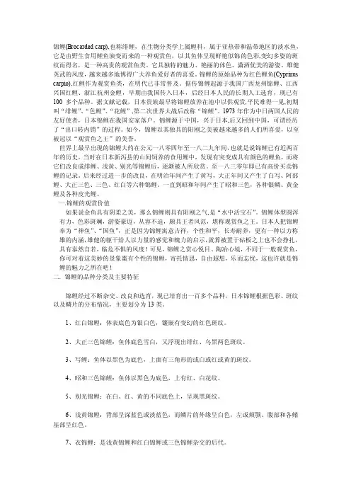 也称绯鲤——精选推荐