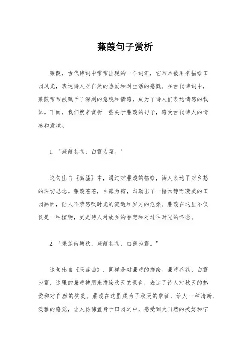 蒹葭句子赏析