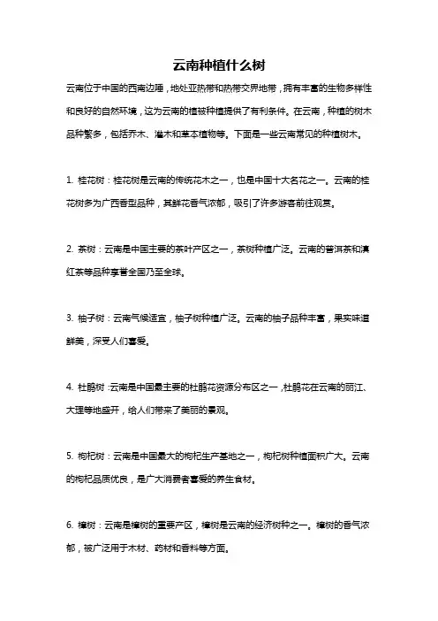 云南种植什么树