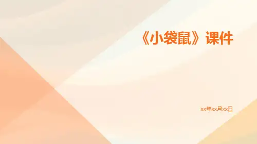 《小袋鼠》课件