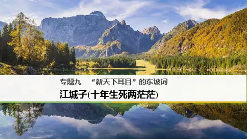 2018-2019高中语文苏教版选修系列《唐诗宋词选读》课件：专题九 江城子(十年生死两茫茫)
