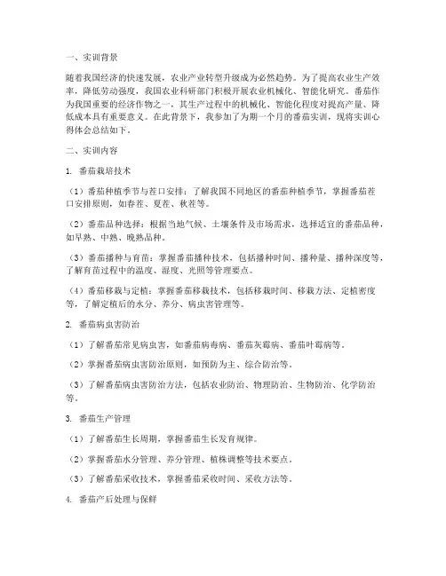 番茄实训报告心得体会
