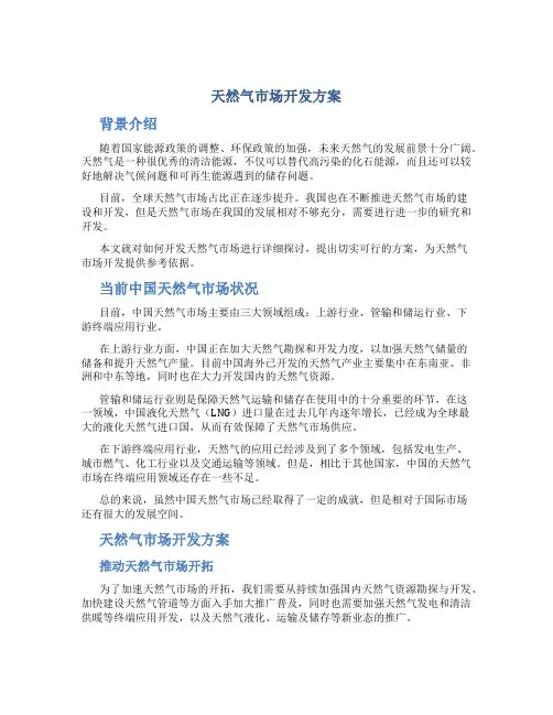 天然气市场开发方案