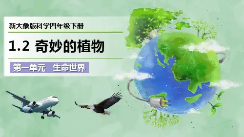 新大象版科学四年级下册第一单元 生命世界《奇妙的植物》优质课件