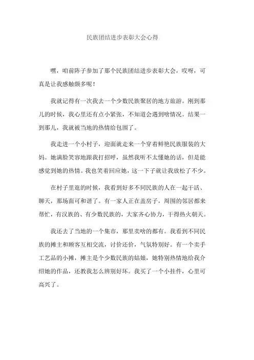 民族团结进步表彰大会心得