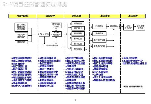 SAP项目管理方法论
