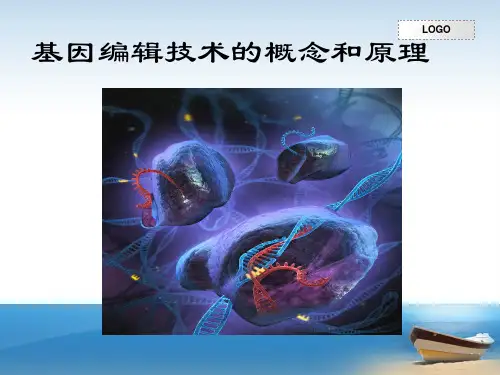 基因编辑技术的概念和原理