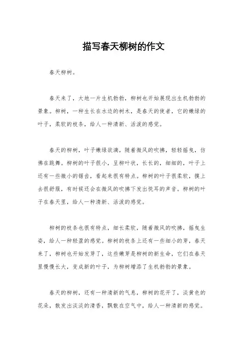 描写春天柳树的作文